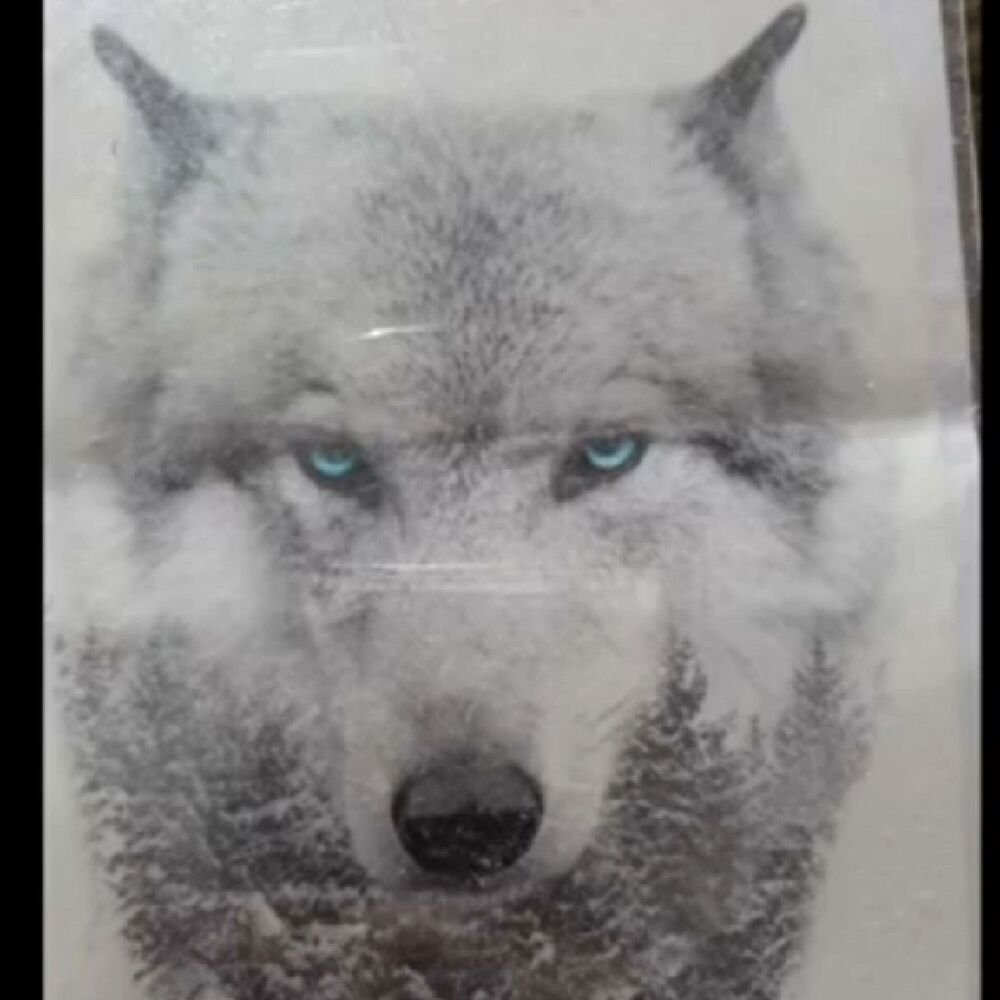 Picture of A Wolf's Paradise