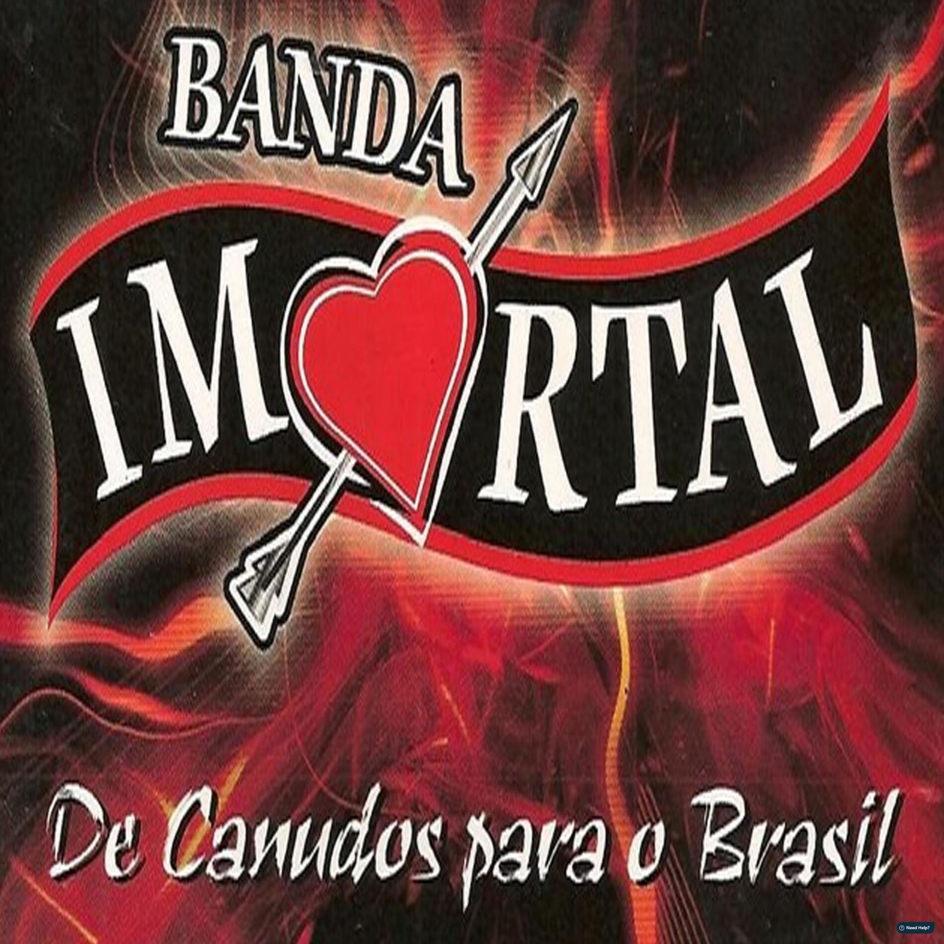 Album cover of Vai