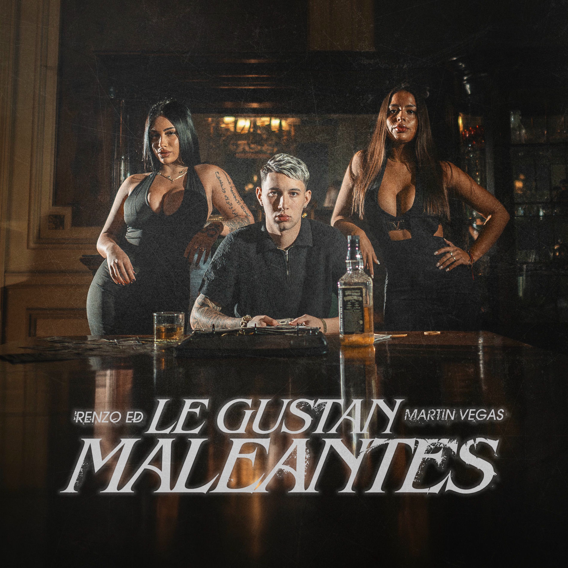 Album cover of Le Gustan Maleantes