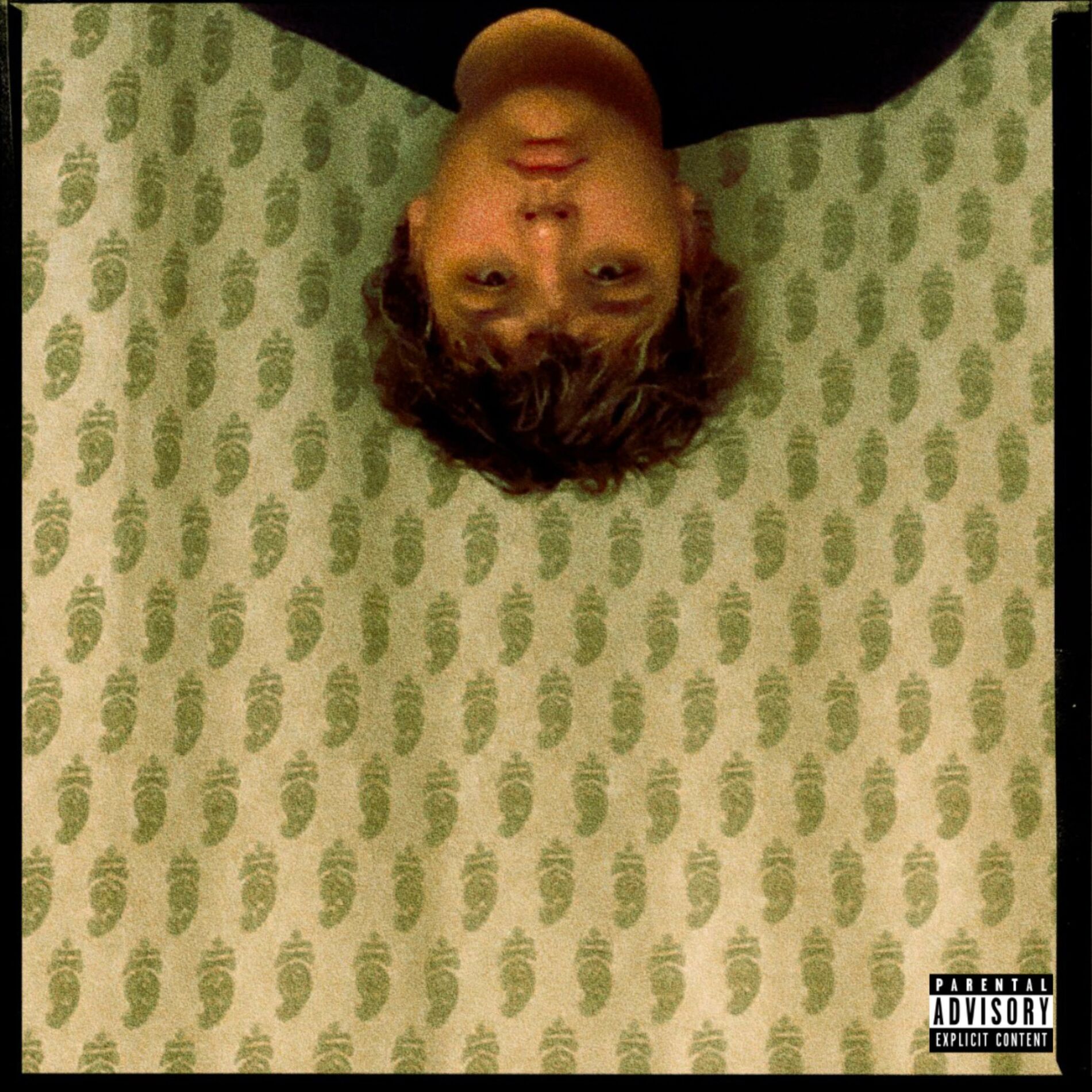 Album cover of Teakwood And Mint. (Deluxe)