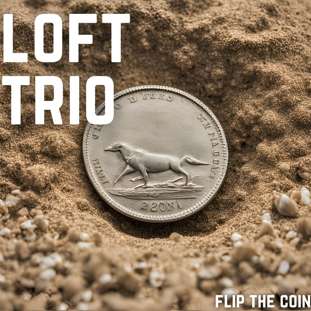 Picture of Flip The Coin