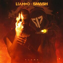 Cover of Flame