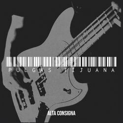 Cover of Desde Las Pulgas Tijuana “ En Vivo”