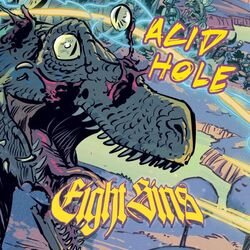 Cover of Acid Hole