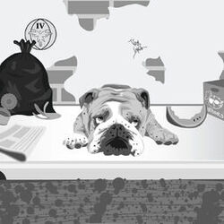 Cover of Ela Vai Voltar