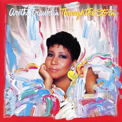 Cover of Through the Storm
