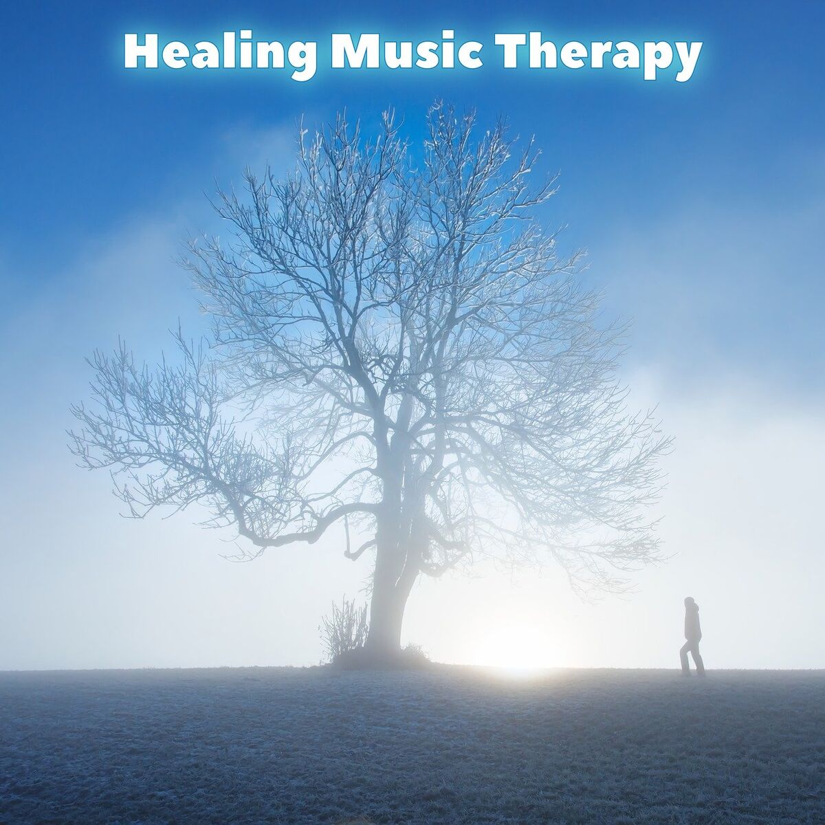 Album cover of Healing Music Therapy