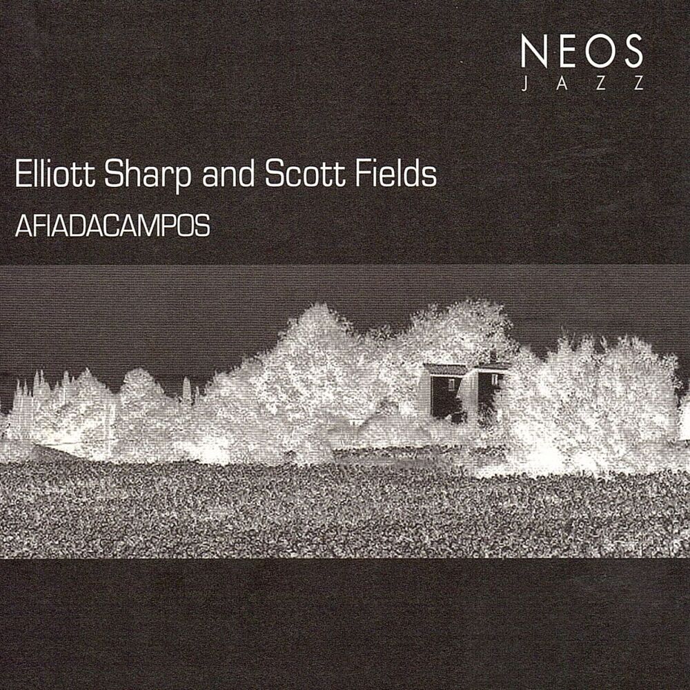 Picture of Afiadacampos