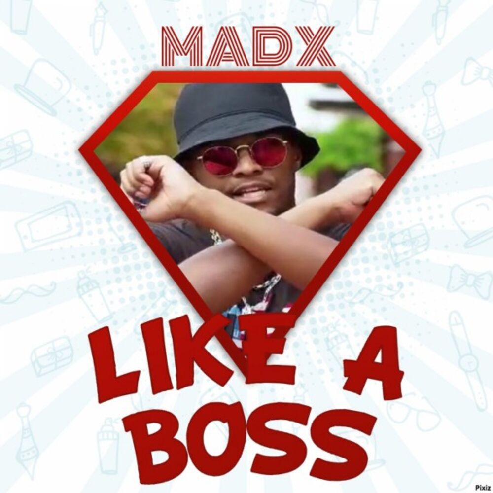 Picture of Like a Boss