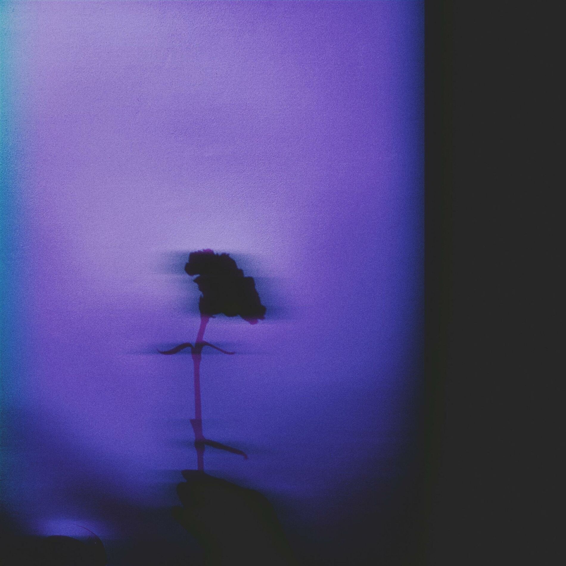 Album cover of Till The End