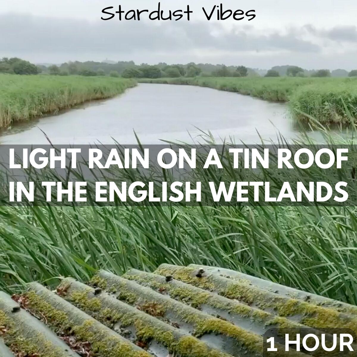 Album cover of Light Rain on a Tin Roof in the English Wetlands: One Hour
