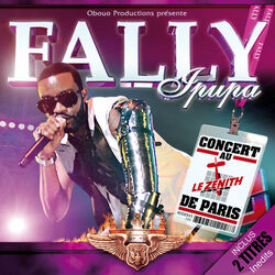 Cover of Concert au Zénith