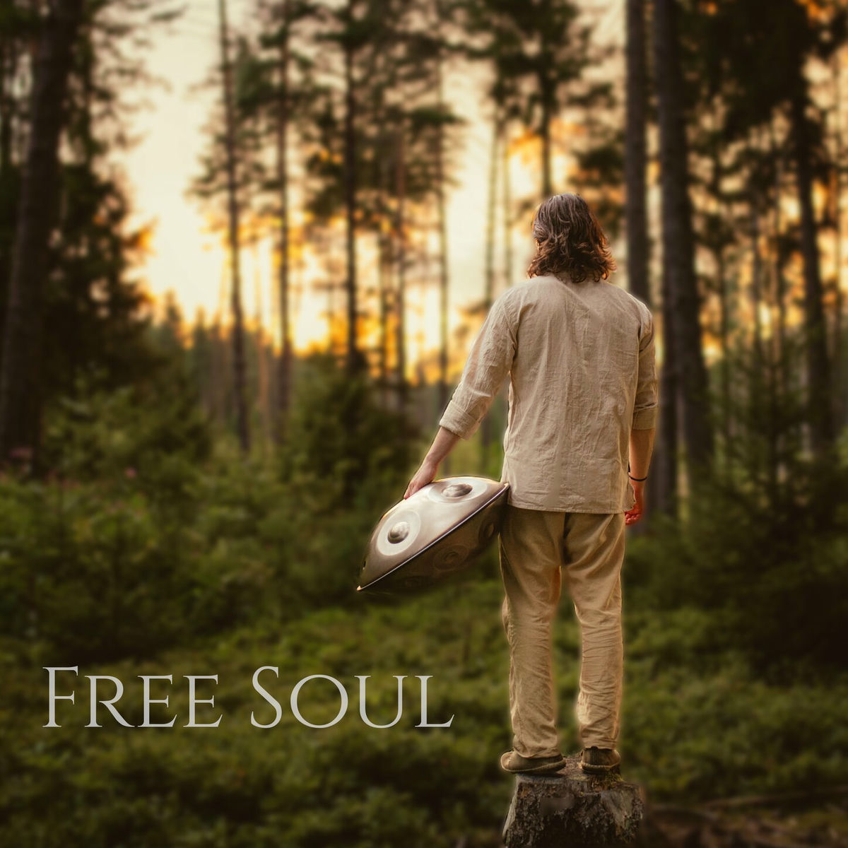 Album cover of Free Soul