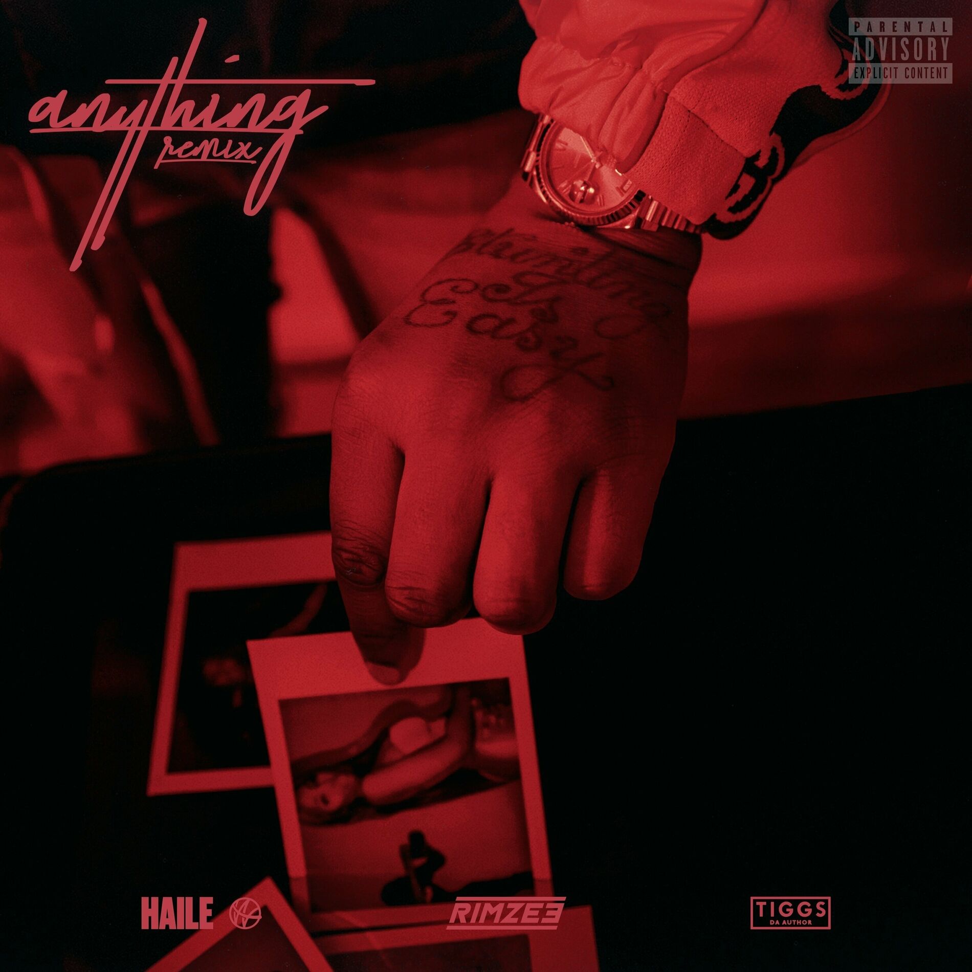 Album cover of Anything (Remix)