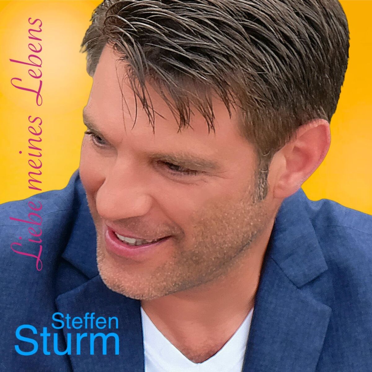 Album cover of Liebe meines Lebens