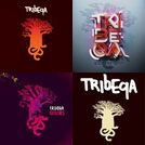 TribeQa - Best Of