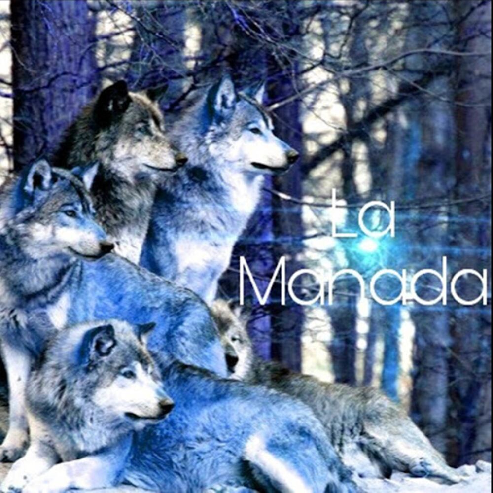 Picture of La Manada