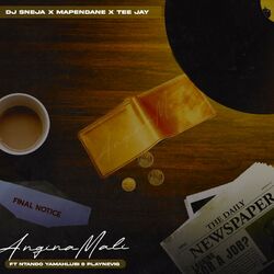 Cover of Anginamali