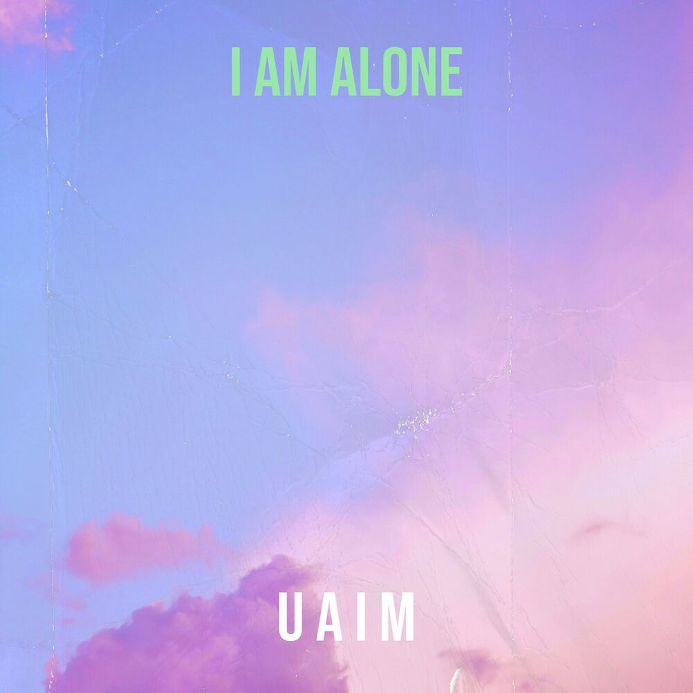 Picture of I Am Alone