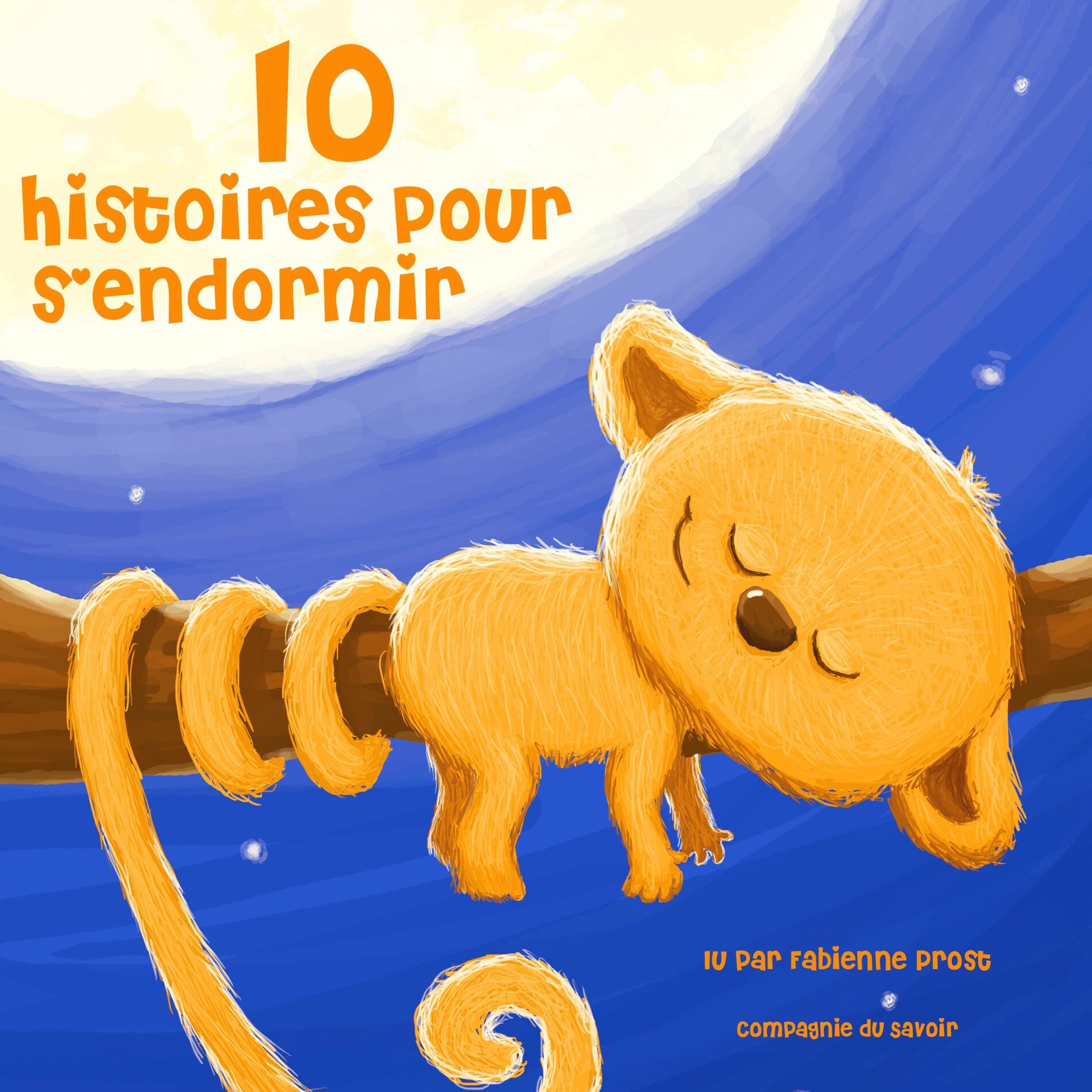 Album cover of 10 histoires pour s'endormir (Les plus beaux contes pour enfants)