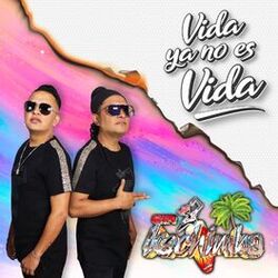 Cover of Vida Ya No Es Vida