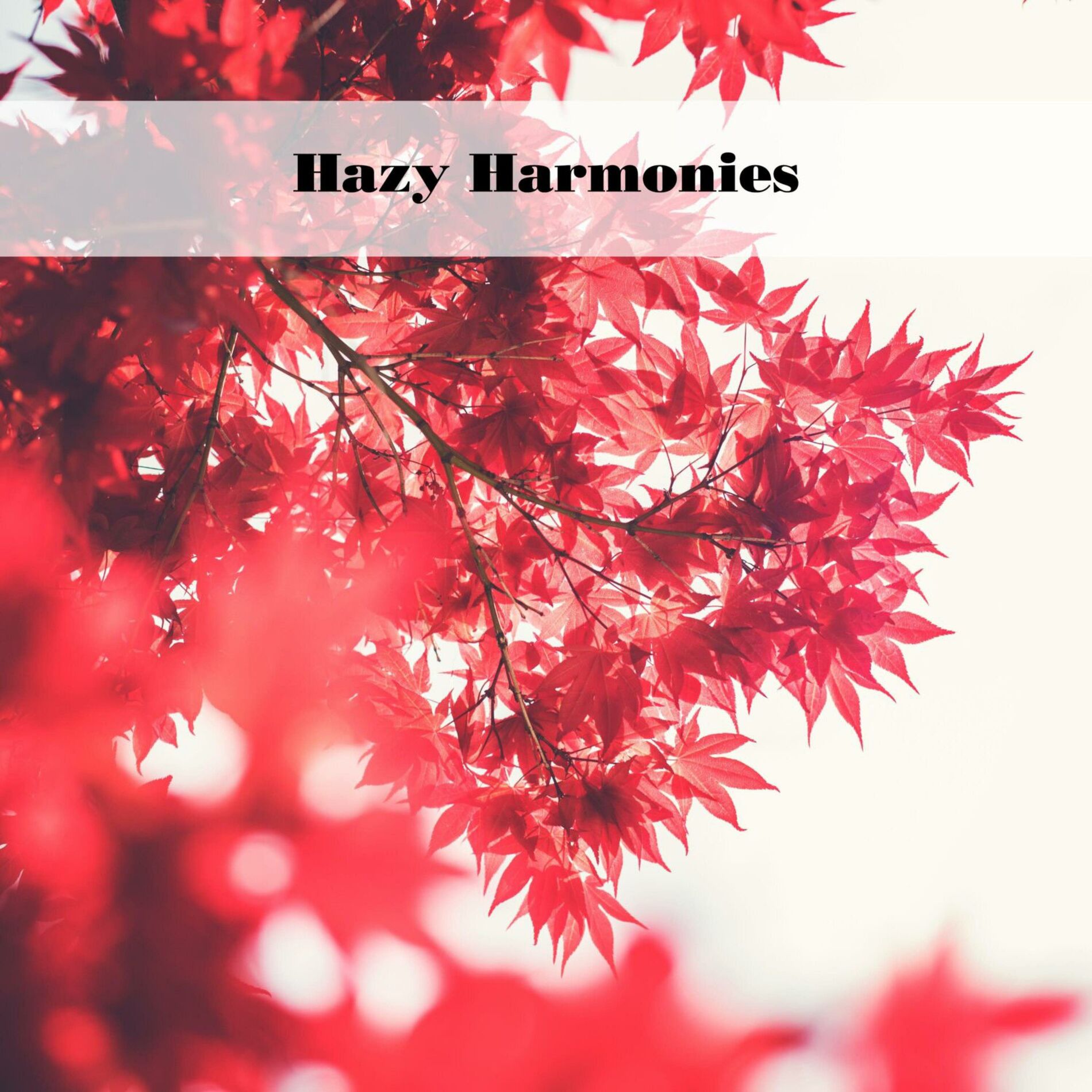 Album cover of Hazy Harmonies