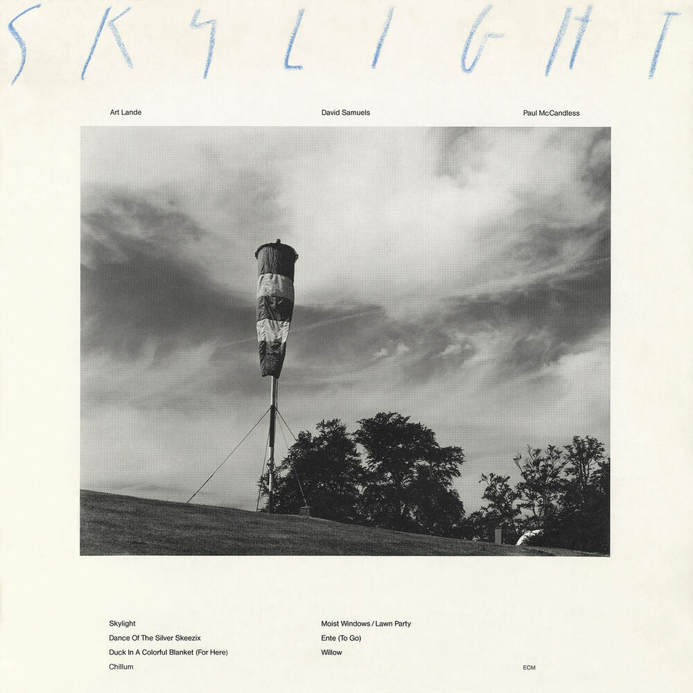 Picture of Skylight