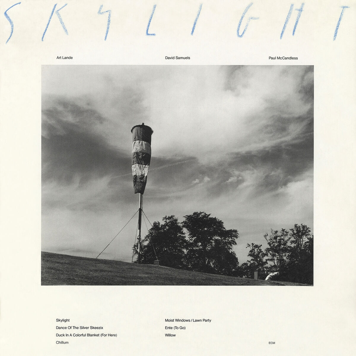 Album cover of Skylight