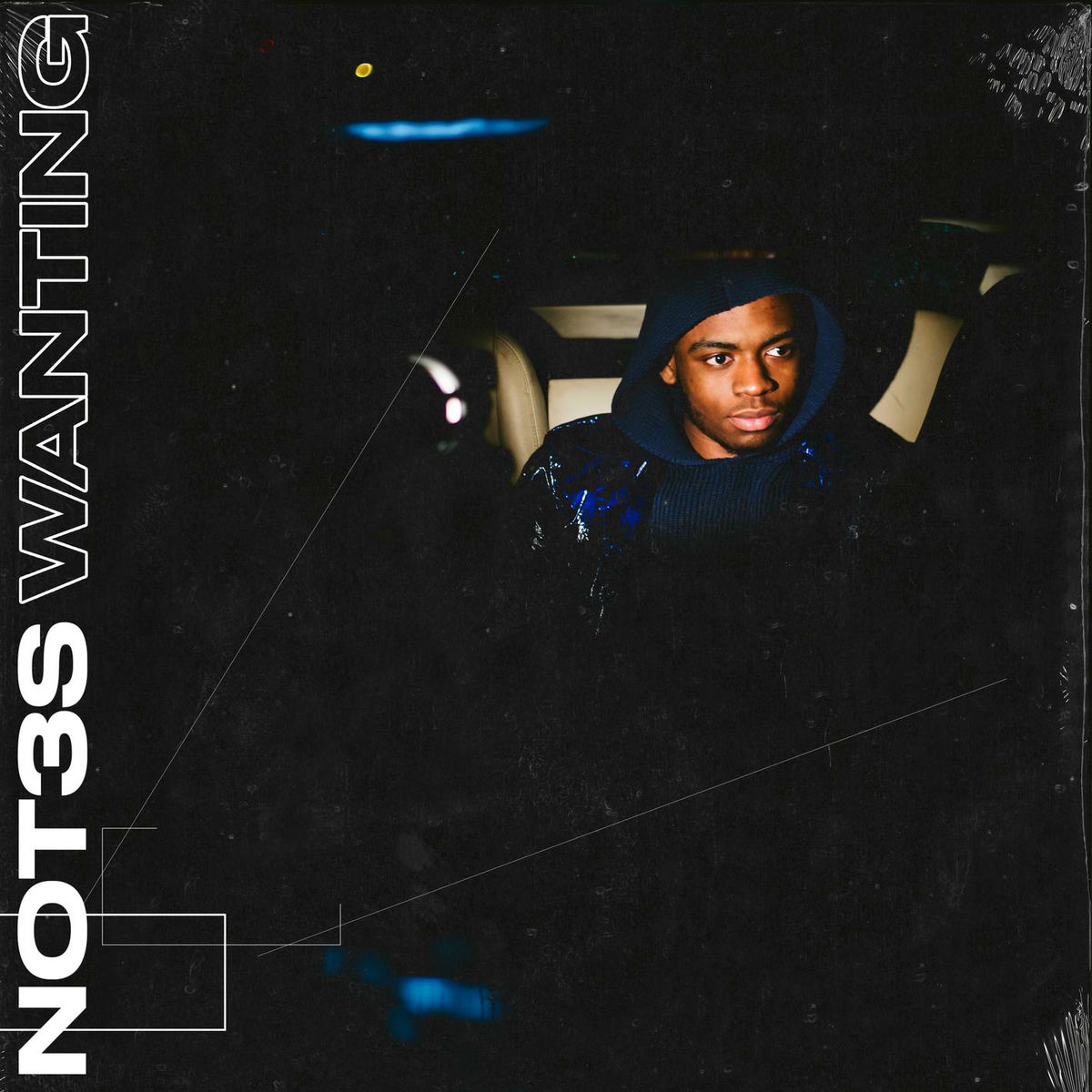 Album picture of Wanting