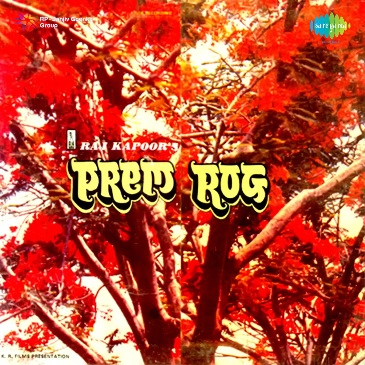 Album cover of Prem Rog (Original Motion Picture Soundtrack)