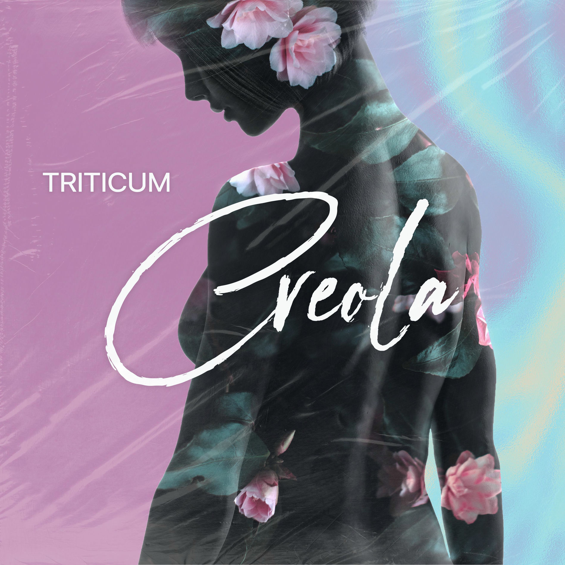 Album cover of Creola