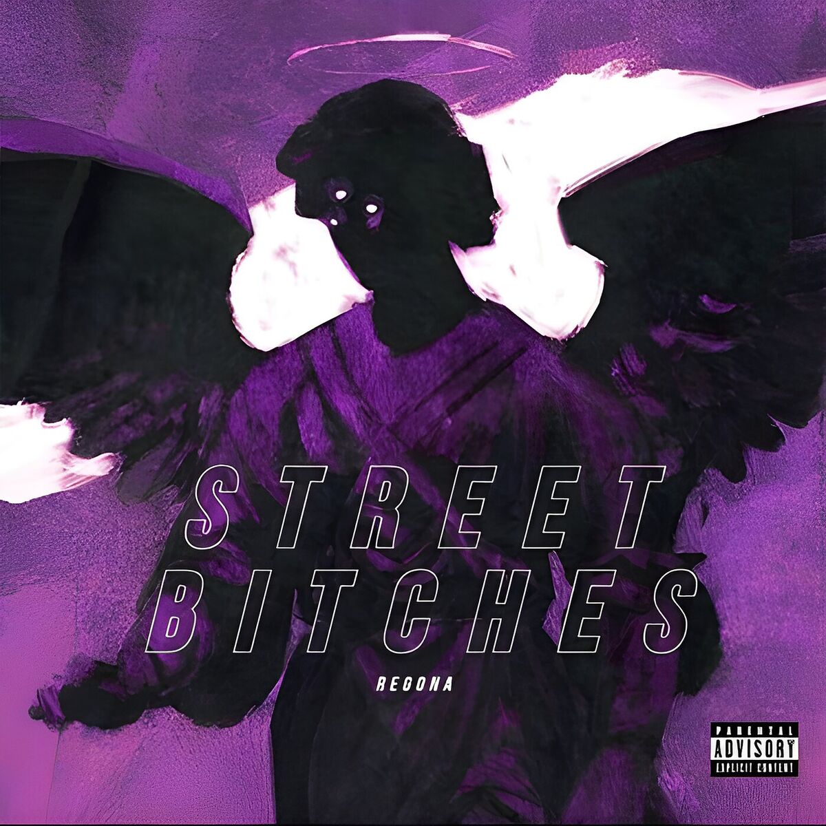 Album cover of Street Bitches
