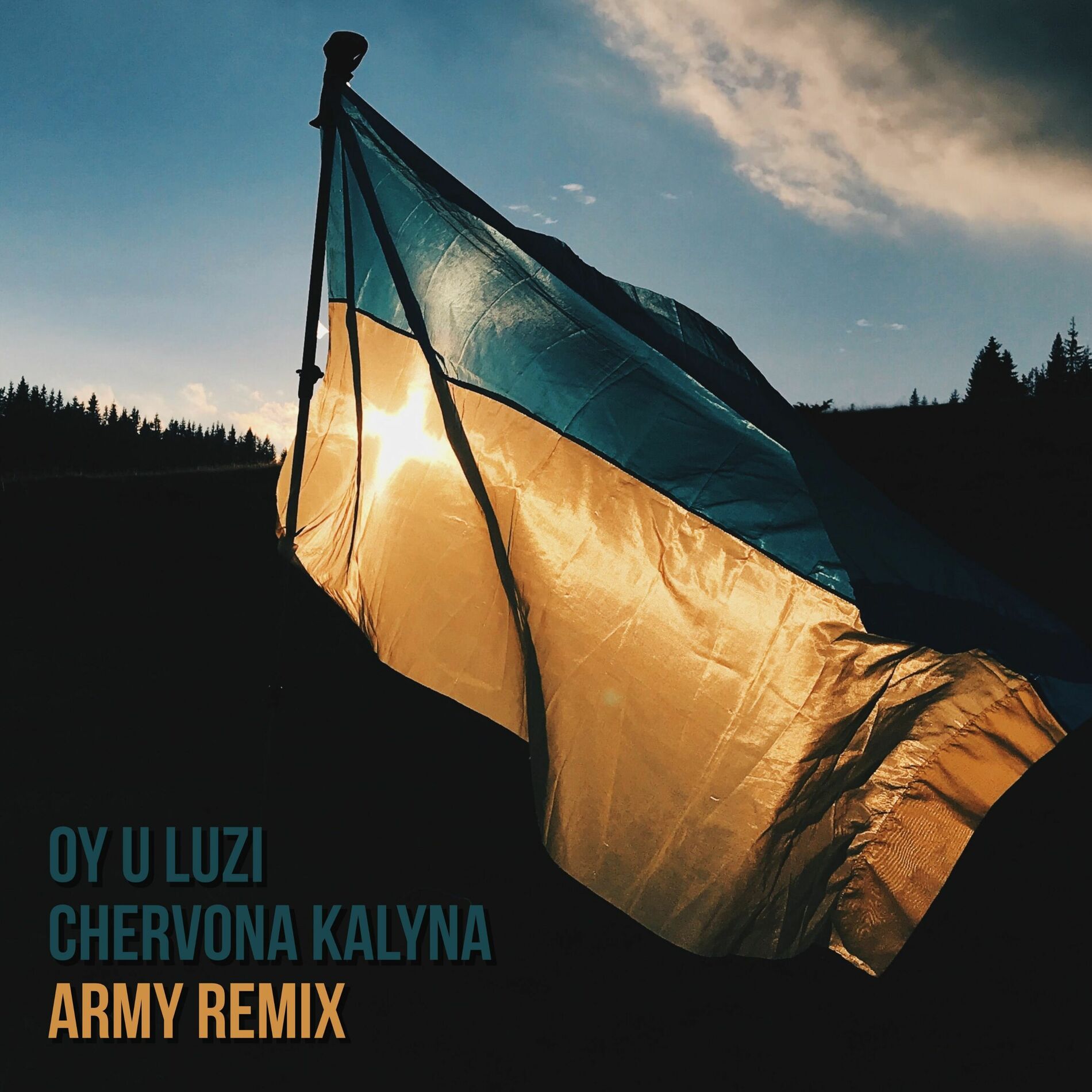 Album cover of Oy U Luzi Chervona Kalyna (Army Remix)