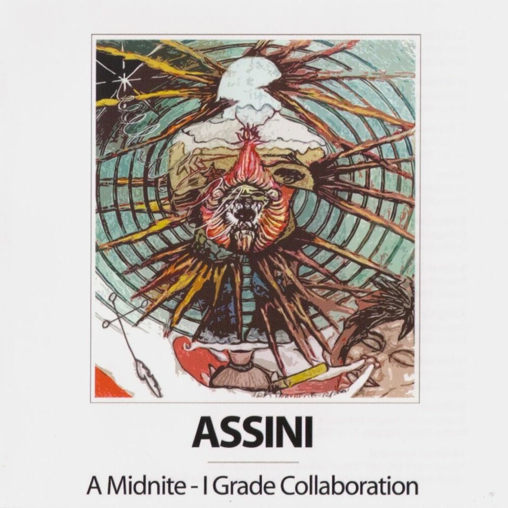 Picture of Assini