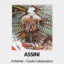 Cover of Assini
