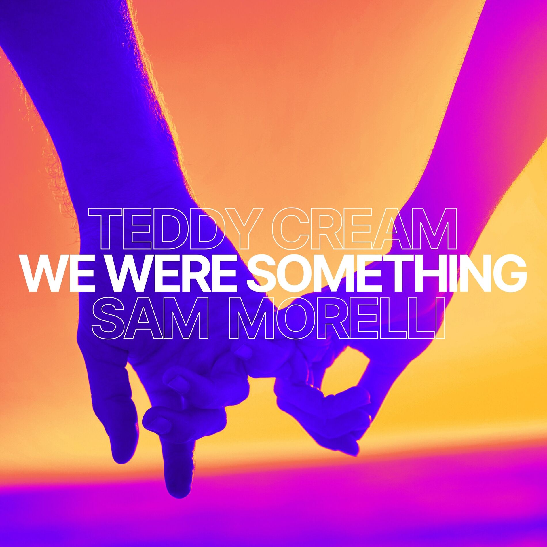 Album cover of We Were Something