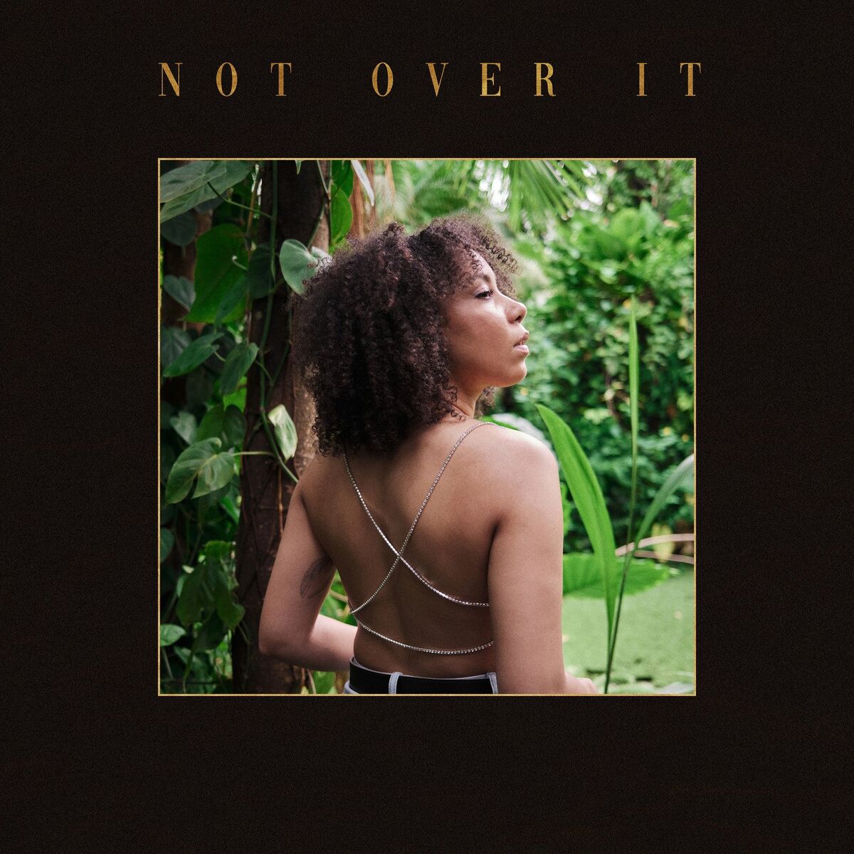 Album cover of Not Over It
