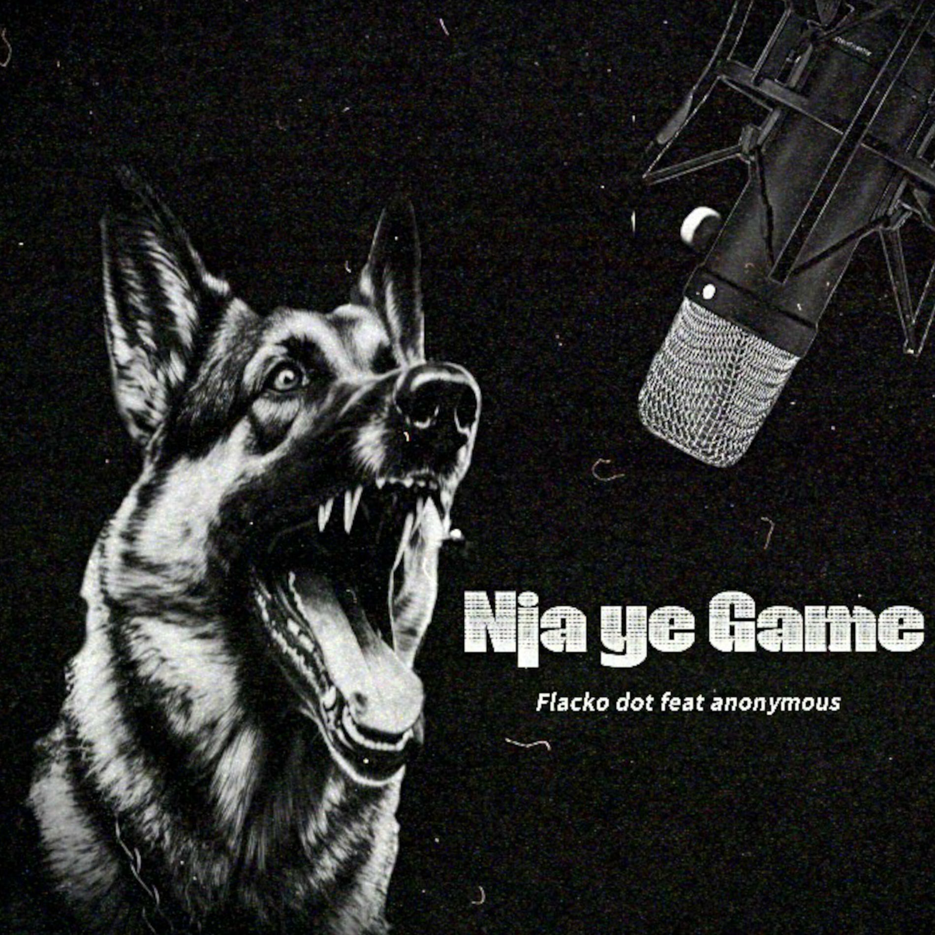 Album cover of Nja Ye Game