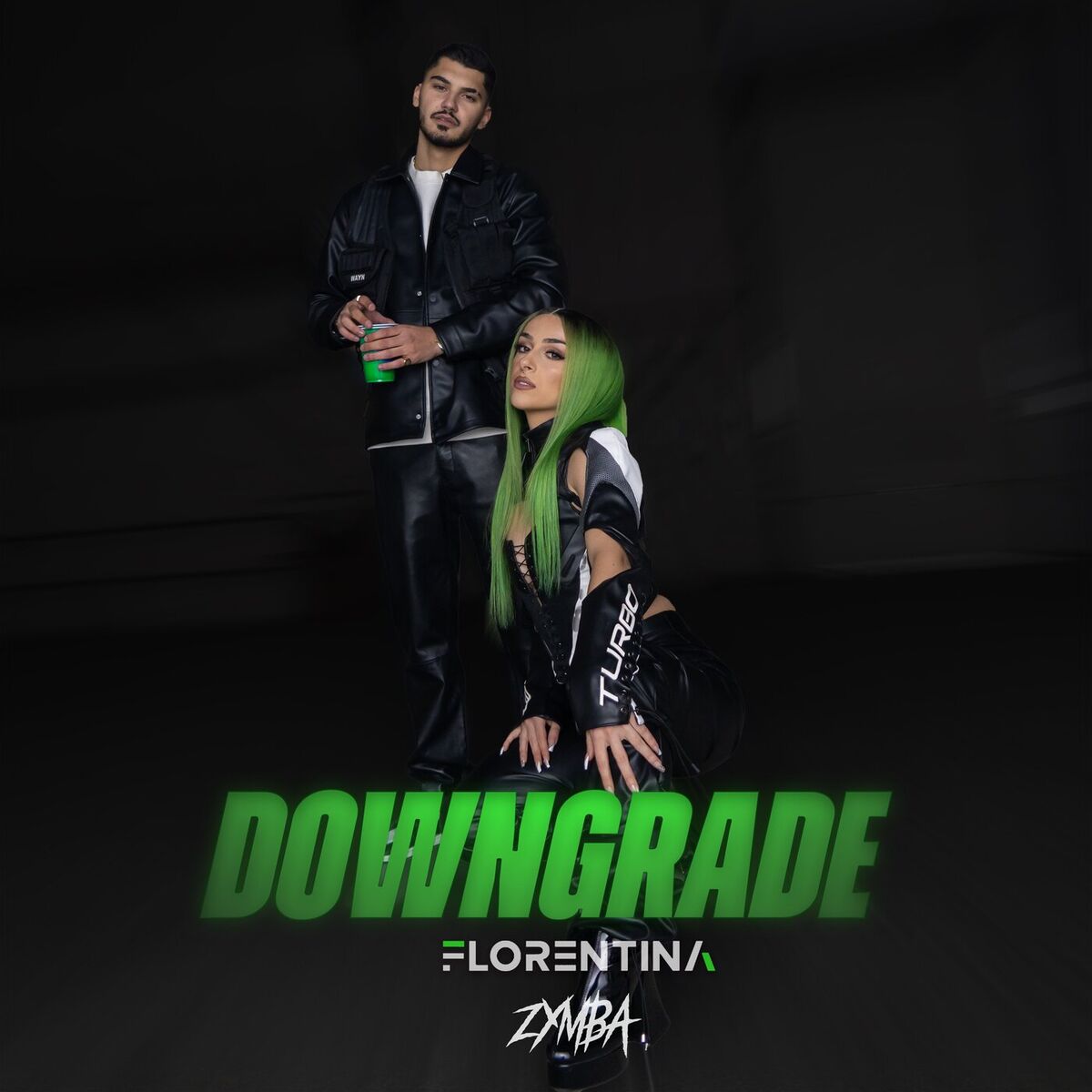 Album cover of Downgrade