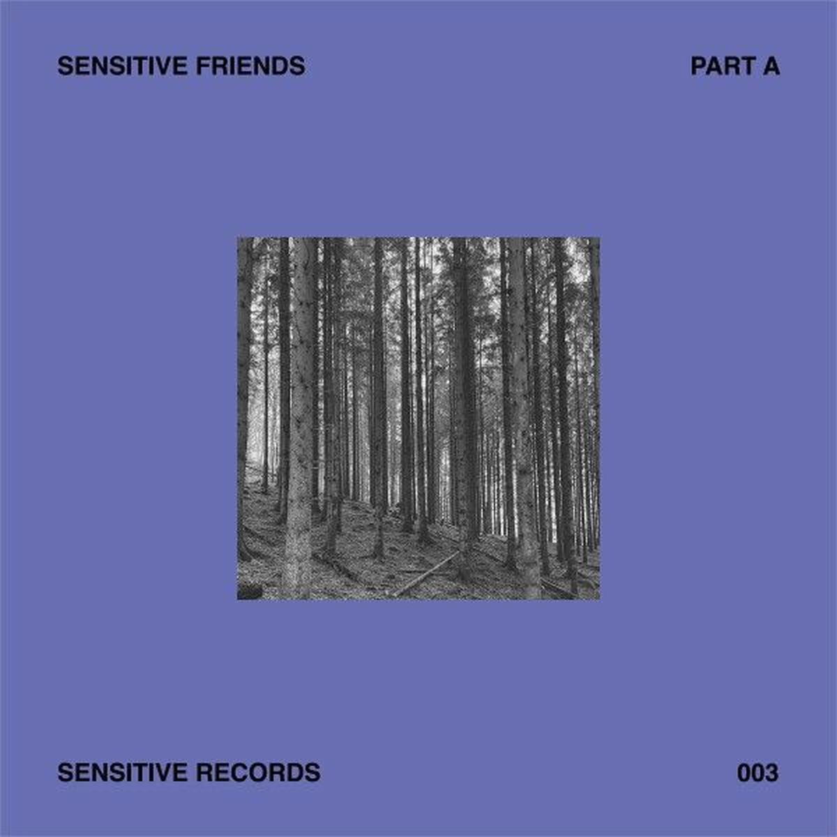 Album cover of Sensitive Friends - Part A