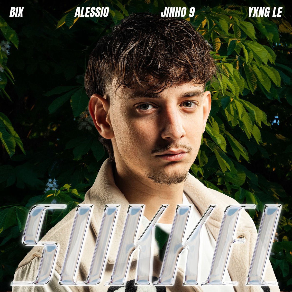 Album cover of Sukkel
