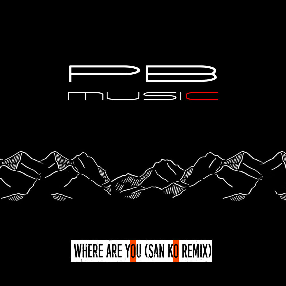 Picture of Where Are You (San Ko Remix)