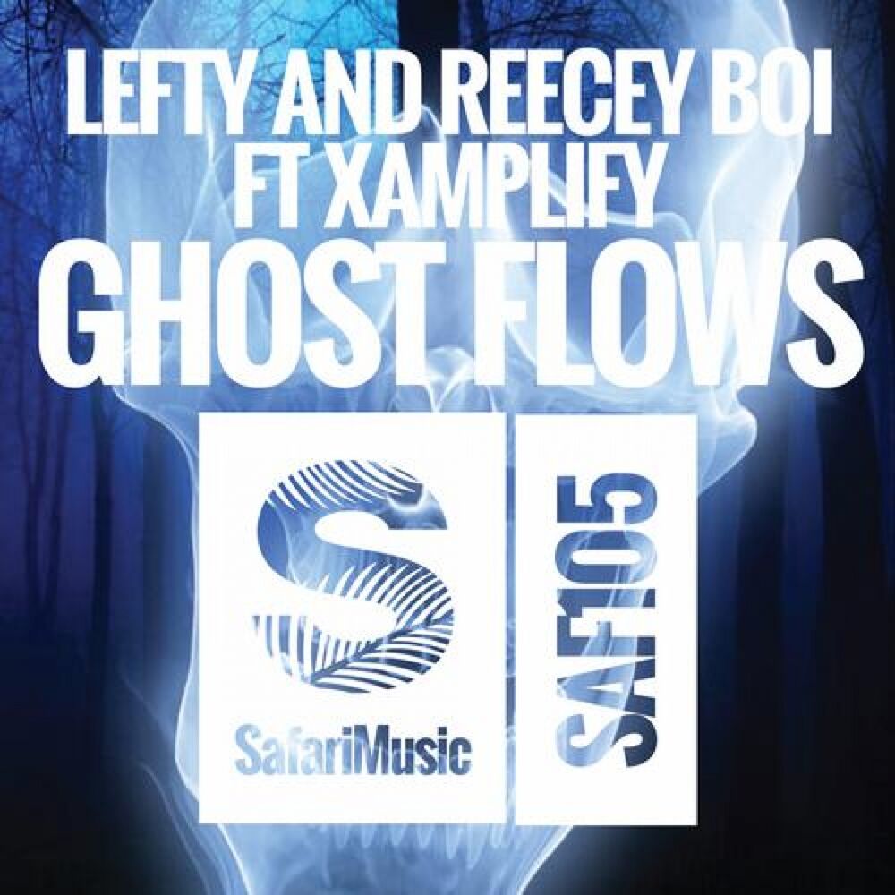 Picture of Ghost Flows