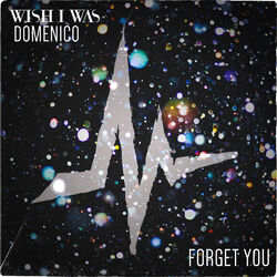 Cover of Forget You