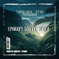 Cover of Tamulaba Efyo Mwalaya