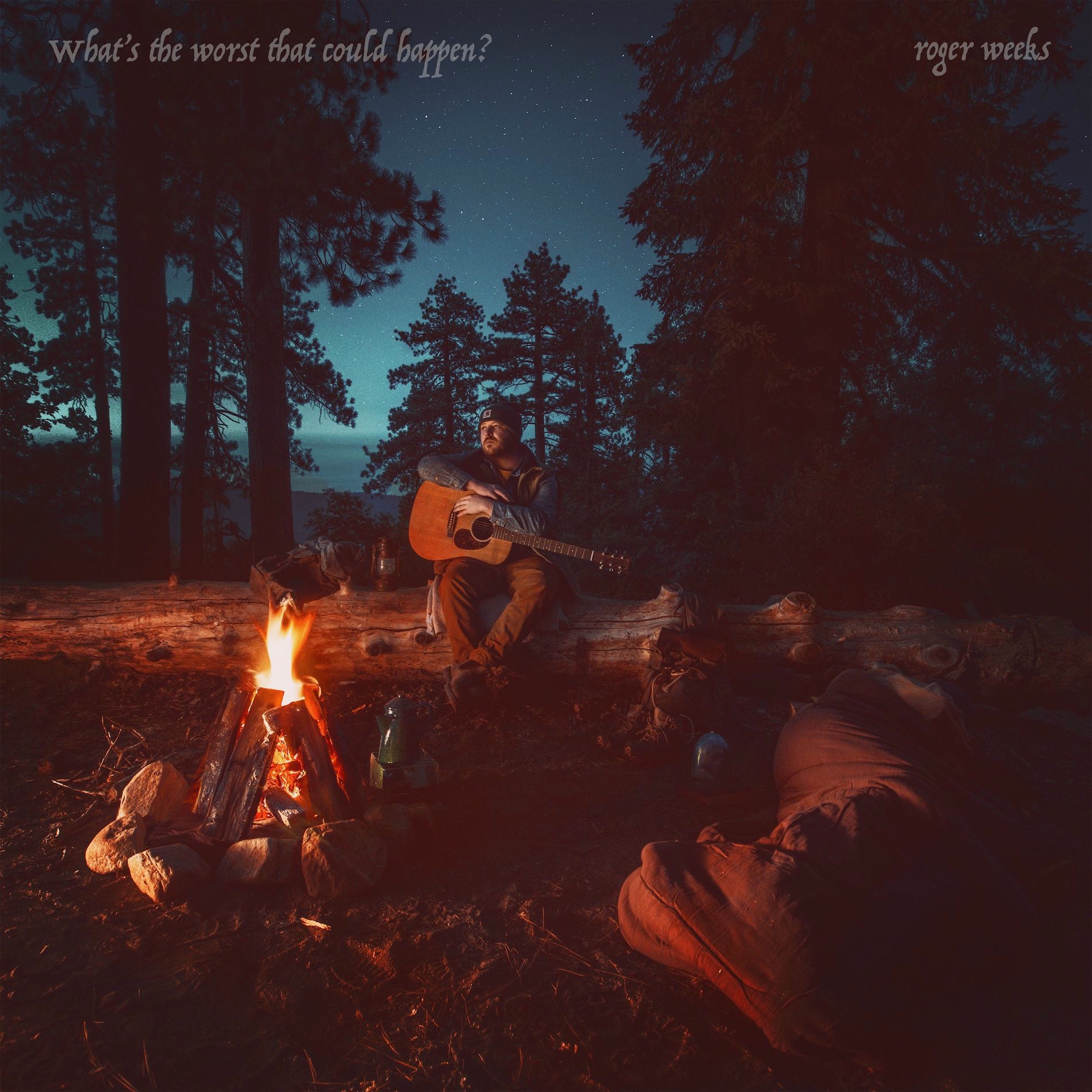 Album cover of What's the Worst That Could Happen?