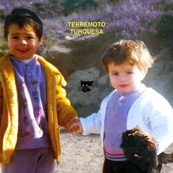 Cover of Terremoto Turquesa