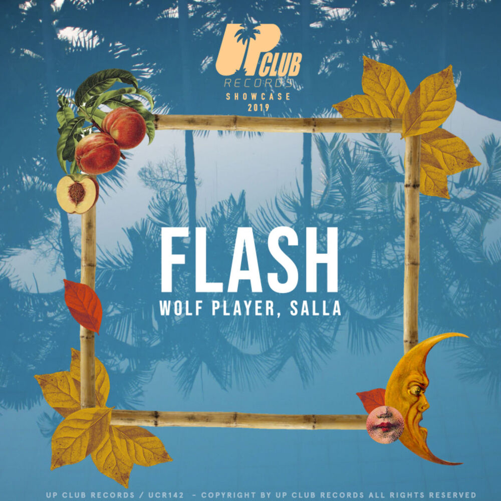 Picture of FLASH