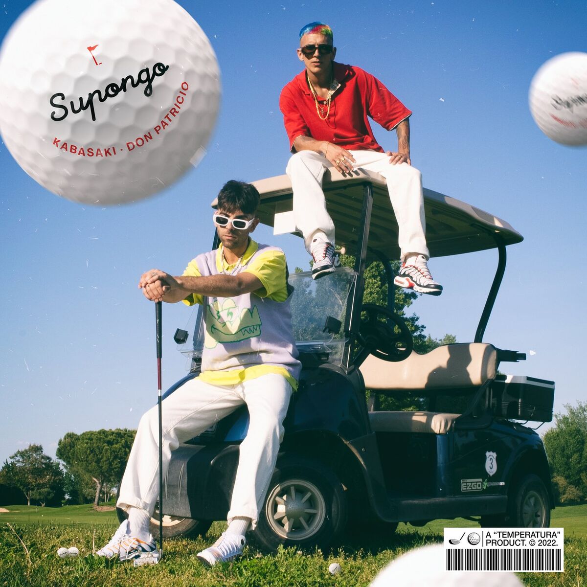 Album cover of Supongo