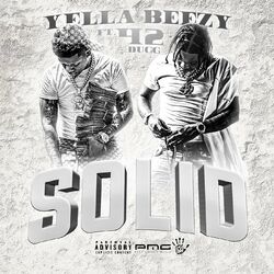 Cover of Solid